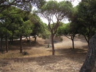 Guardamar del Segura Parque de Alfonso